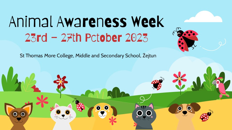 Animal Awareness Week 2023 St Thomas More College